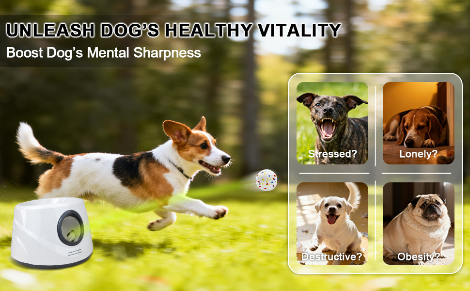 Automatic Dog Ball Launcher with Adjustable Distance