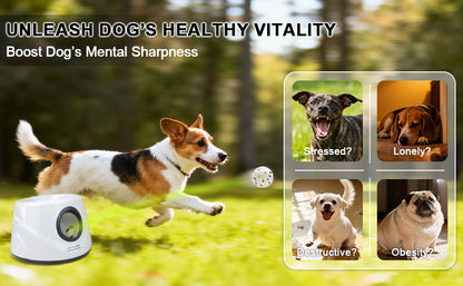 Automatic Dog Ball Launcher with Adjustable Distance